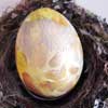 Marja de Jong, painted Eastern eggs 7
