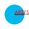Marja de Jong is board member of the Finnish association AREFS taide ja kulttuuri ry