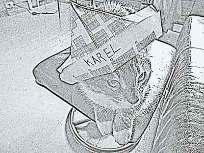 Karel with paper hat